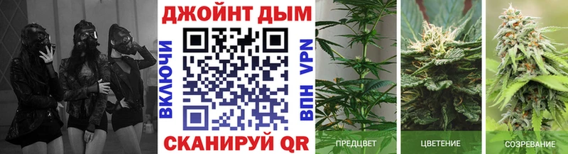 Бошки Шишки конопля  blacksprut маркетплейс  Барыш 